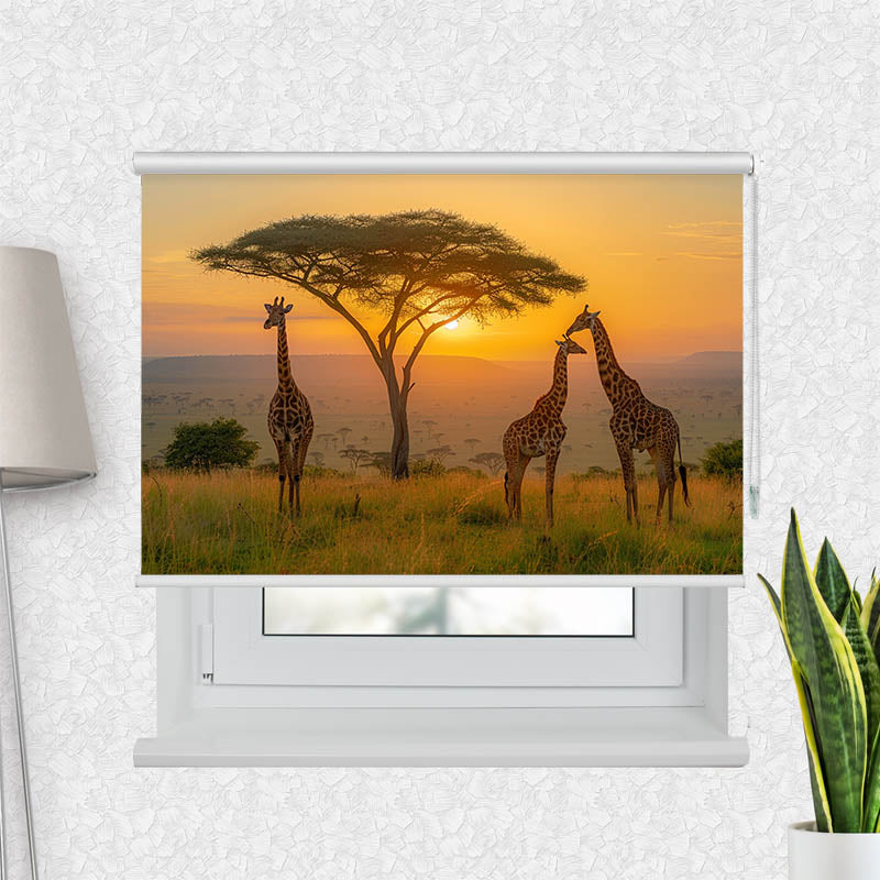 Fotorollo Afrika Giraffen Savanne