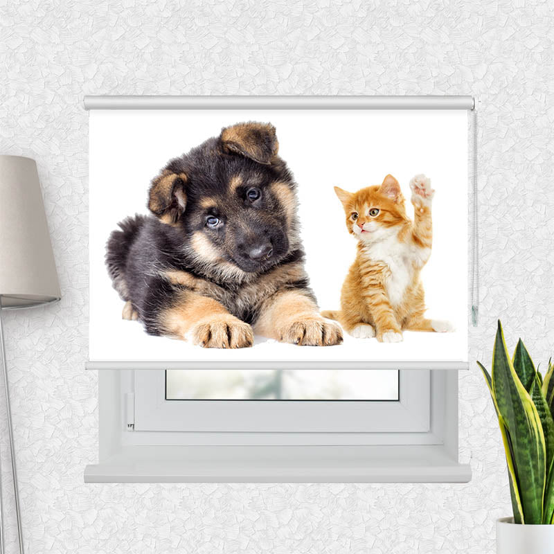 Fotorollo Welpe und Kitten