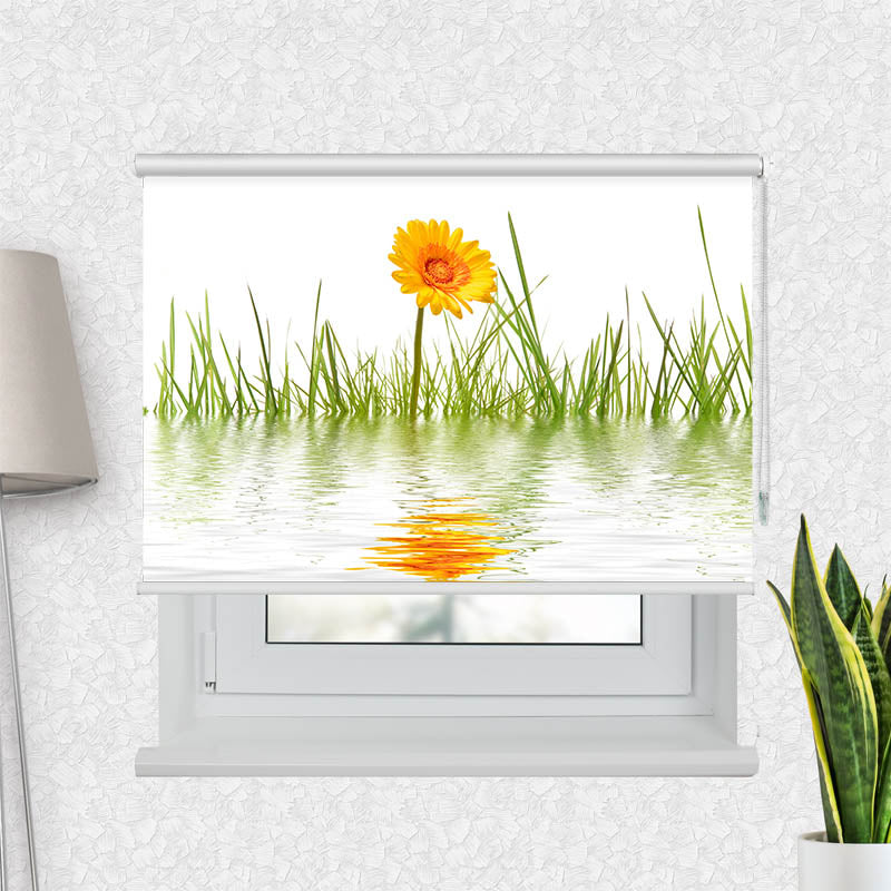 Fotorollo Gras im Wasser