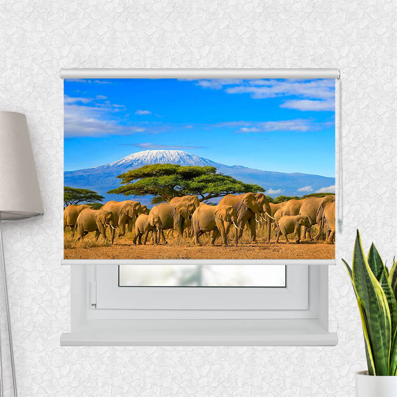 Fotorollo Elefanten am Kilimandscharo