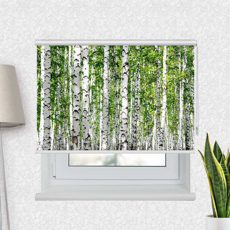 Fotorollo Birkenwald