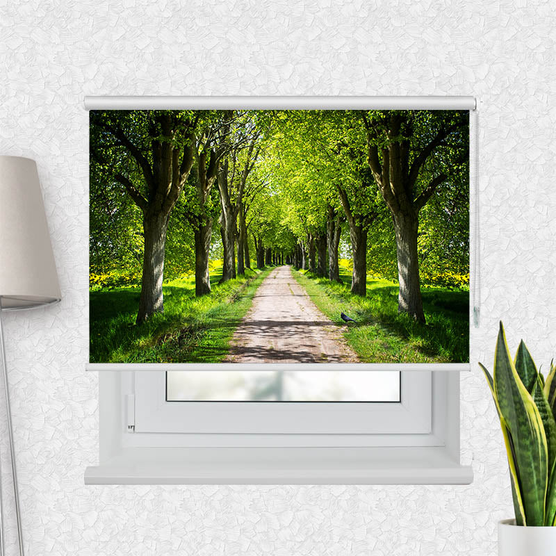 Fotorollo Schoene Allee