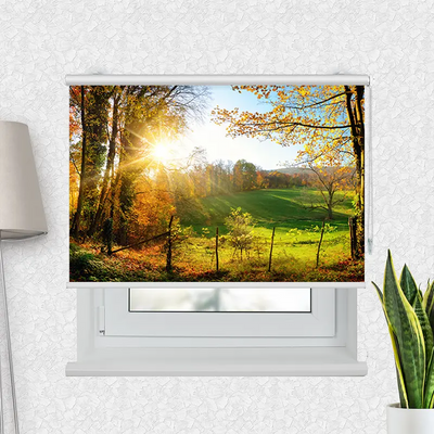 Motivrollo Herbstlandschlaft | Bis B 430 x H 440 cm