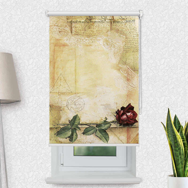 Fotorollo Retro Rose