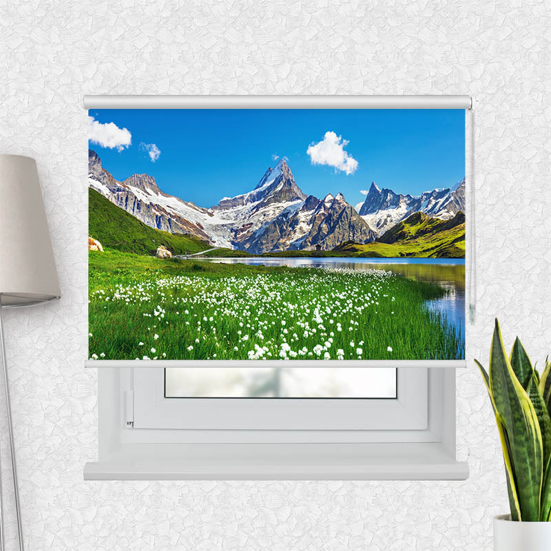 Fotorollo Schweizer Alpen Bachalpsee