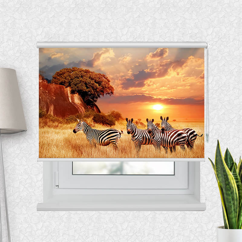 Fotorollo Zebras in Afrikas Savanne