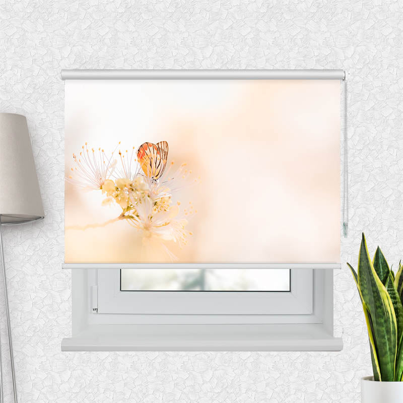 Fotorollo Schmetterling auf Bleute