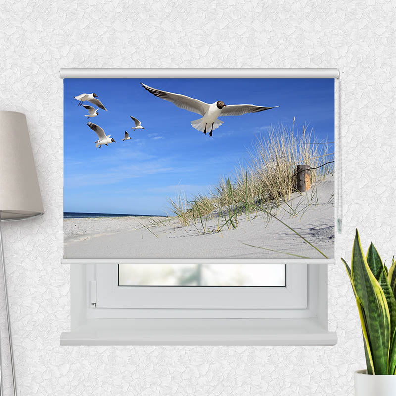 Fotorollo Moewen am Strand