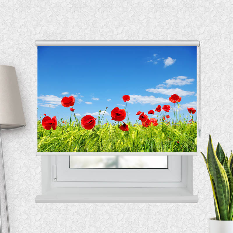 Fotorollo Mohnblumen Wiese