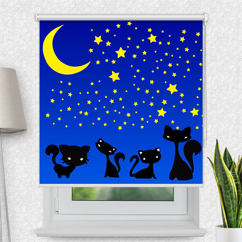 Fotorollo Katzen Unter dem Sternenhimmel