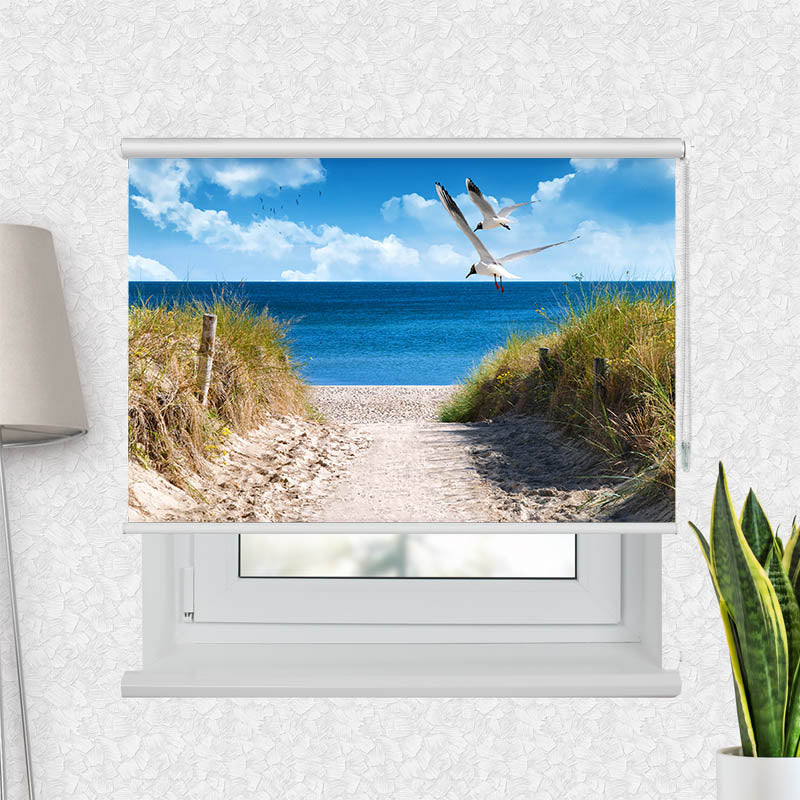 Fotorollo Duene Meer Moewen