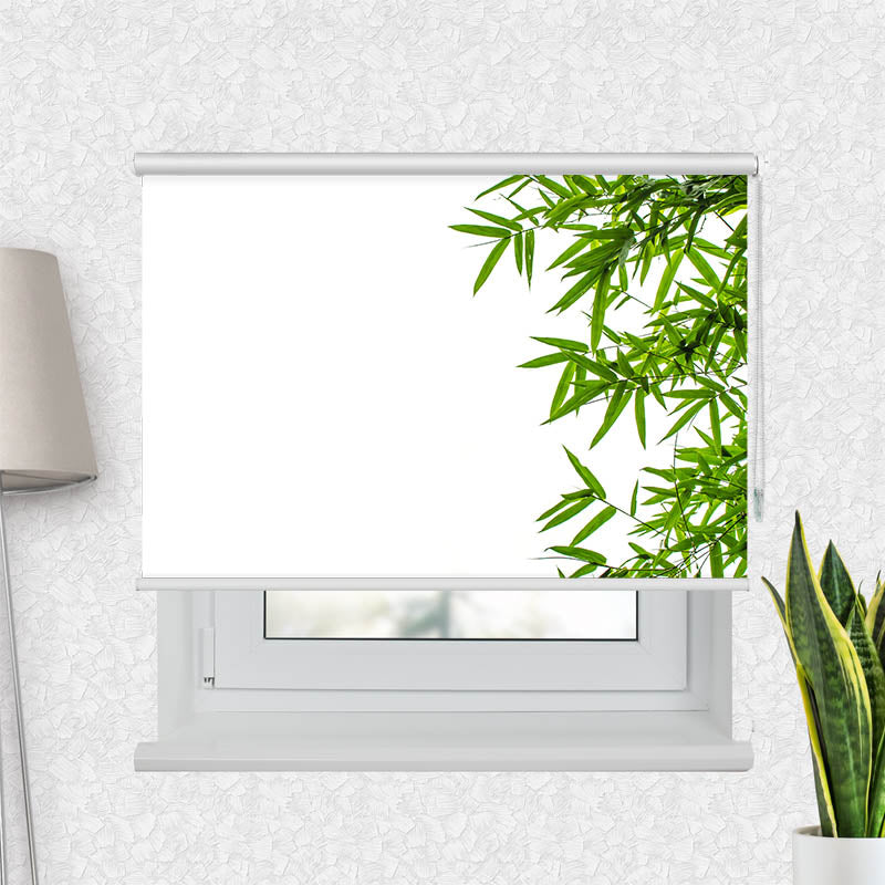 Fotorollo Bambusblaetter Freigestellt