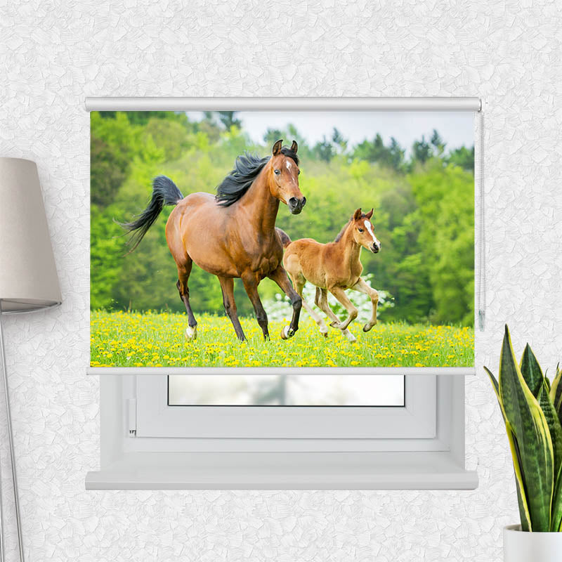 Fotorollo Pferd mit Fohlen