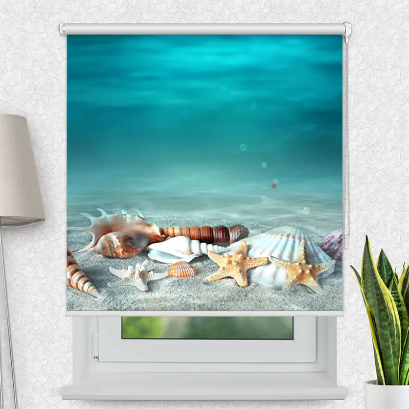 Fotorollo Muschel Und Seestern Am Strand