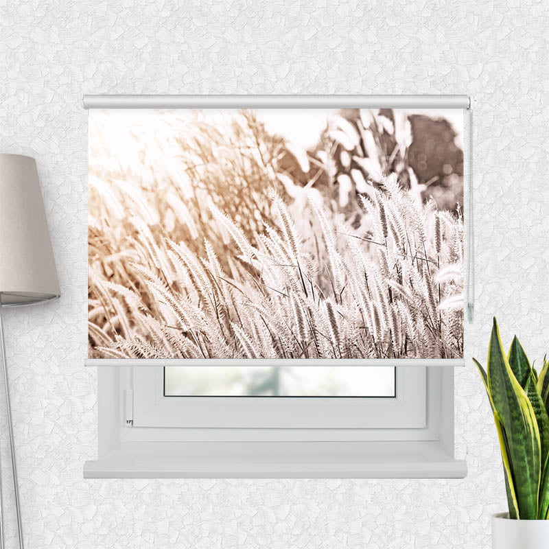 Fotorollo Pampas Gras