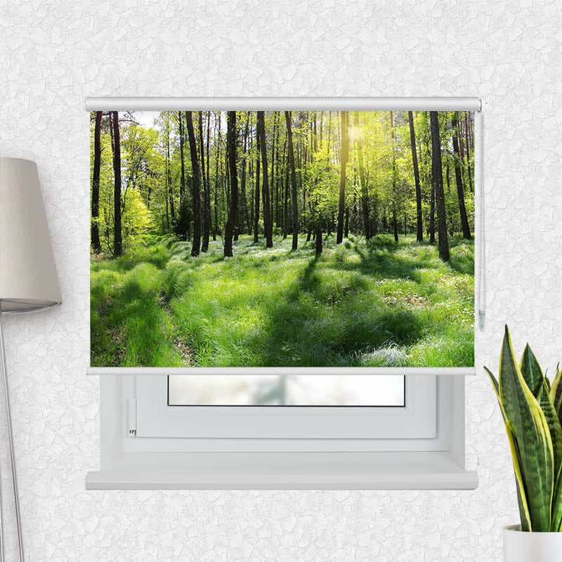 Fotorollo Wald Panorama