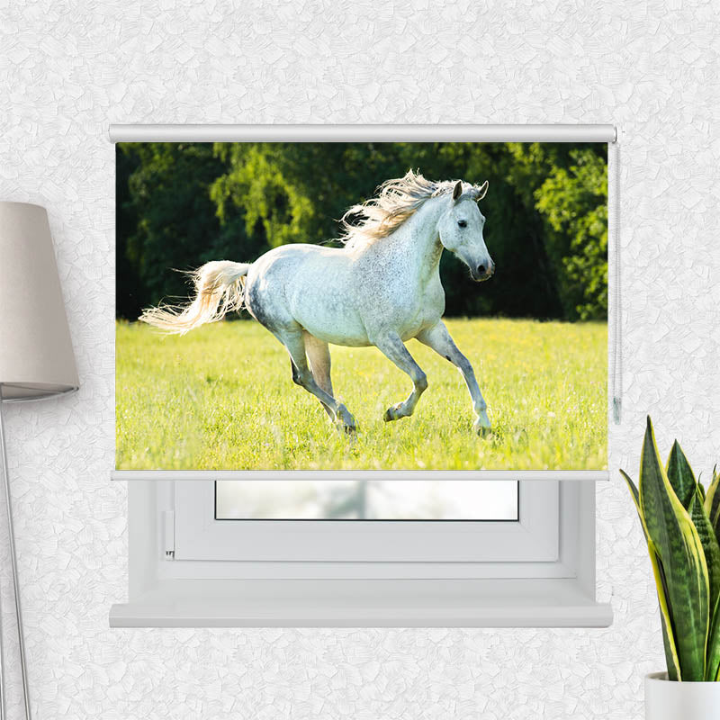 Fotorollo Weisses Pferd im Gras