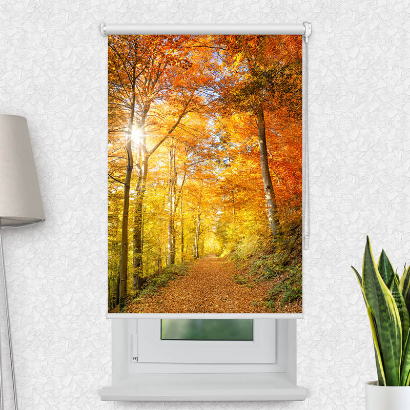 Fotorollo Waldweg Herbst