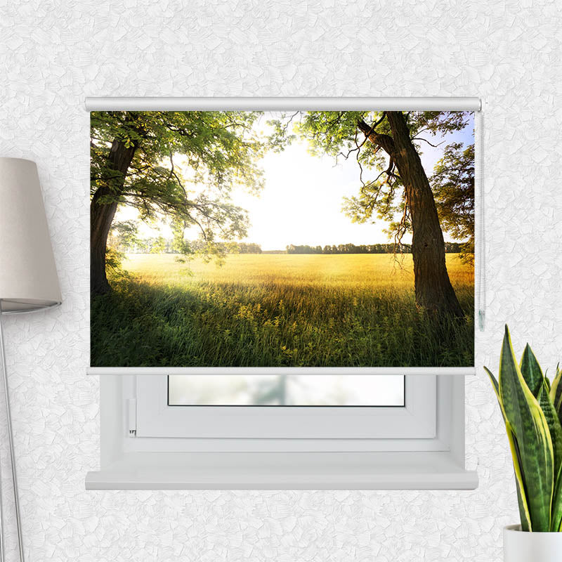 Fotorollo Leuchtturm Meer