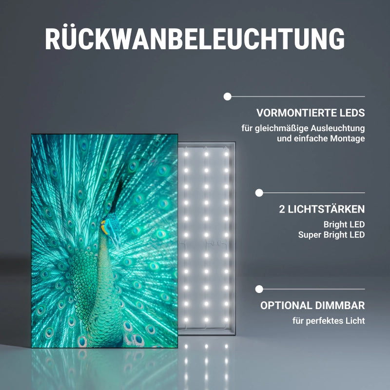 ProLight60 LED Spannrahmen mit rückseitiger LED-Beleuchtung – ausgestattet mit vormontierten LEDs für eine gleichmäßige Ausleuchtung. Verfügbar in zwei Lichtstärken (Bright LED, Super Bright LED) und optional dimmbar für perfekte Lichtverhältnisse. Ideal für leuchtende Werbedisplays, Messeauftritte und hochwertige Innenraumgestaltung.