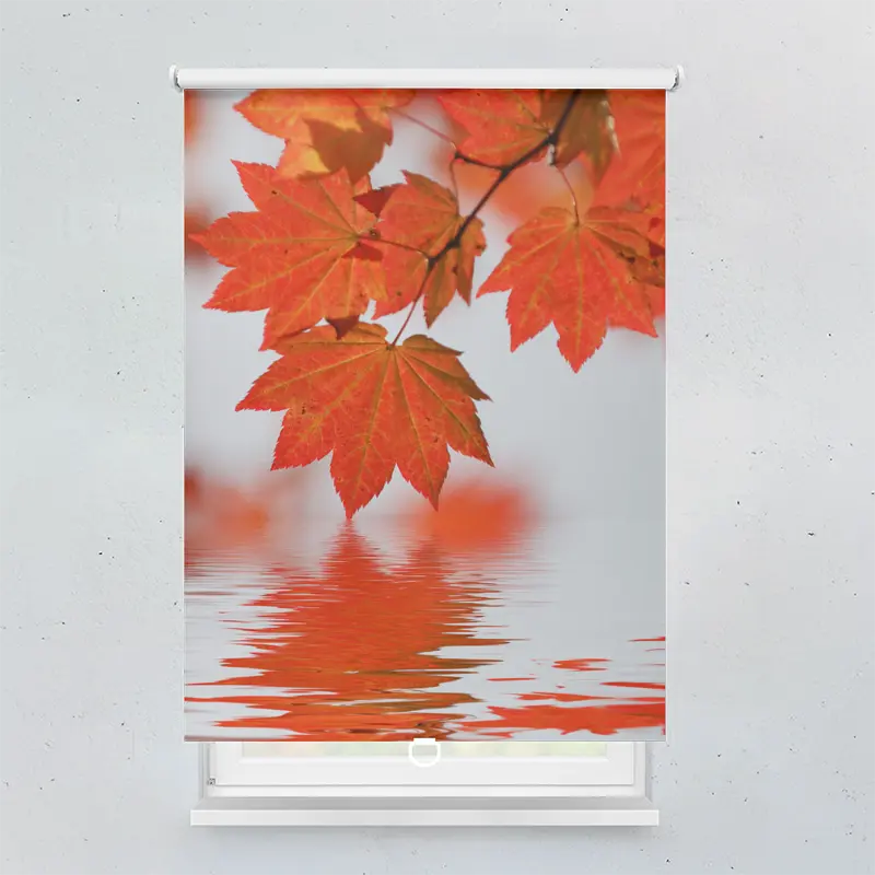 Spring Rollo Motive Ahornblätter