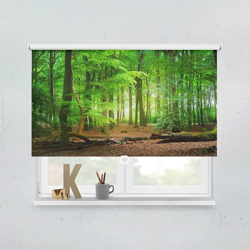 Spring Rollo Motiv Wald Laub