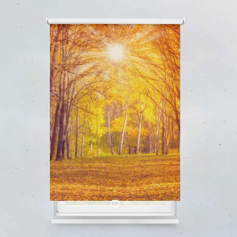 Spring Rollo Motiv Herbstwald