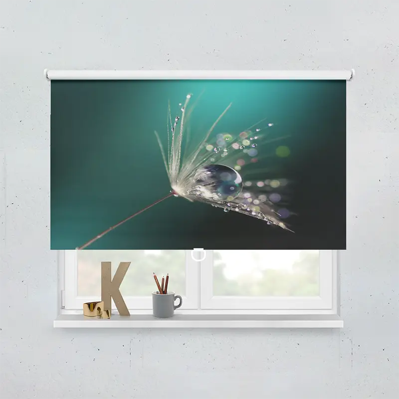 Spring Rollo Motiv Pusteblumen Samen Wassertropfen