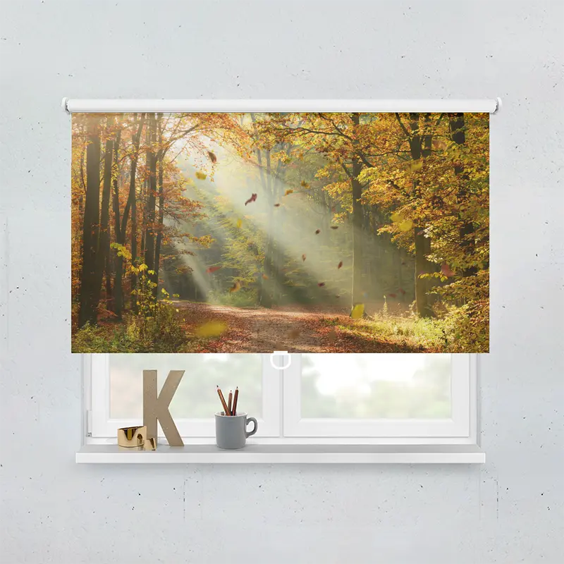 Spring Rollo Motiv Herbstwald