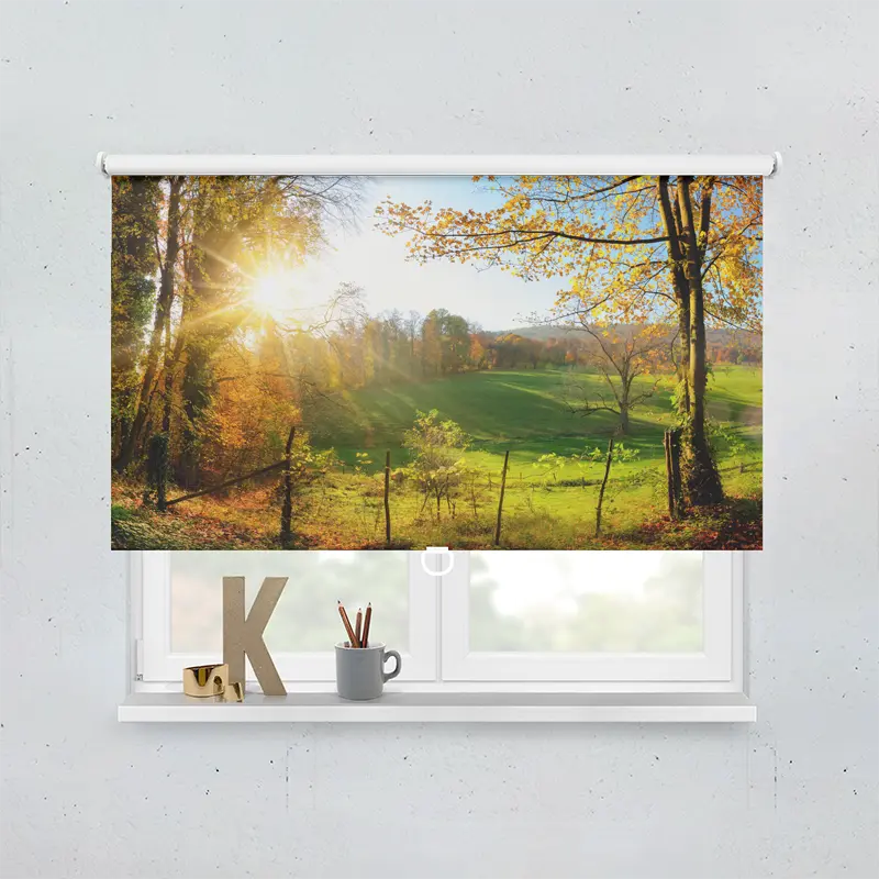 Spring Rollo Motiv Herbstlandschläft