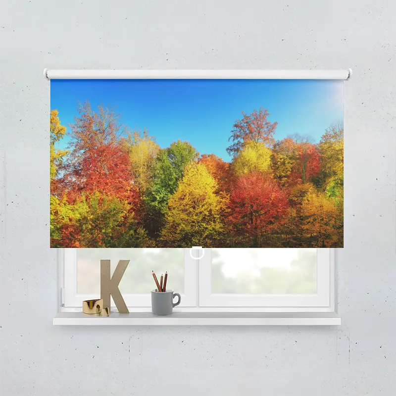 Spring Rollo Motiv Bunter Herbstwald