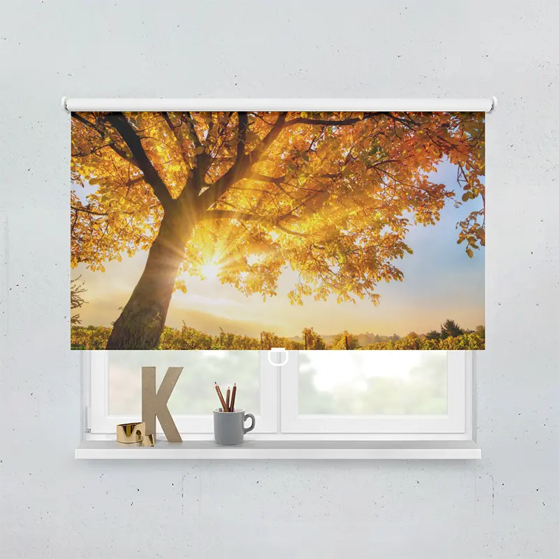 Spring Rollo Motiv Baum Herbst Sonnenschein