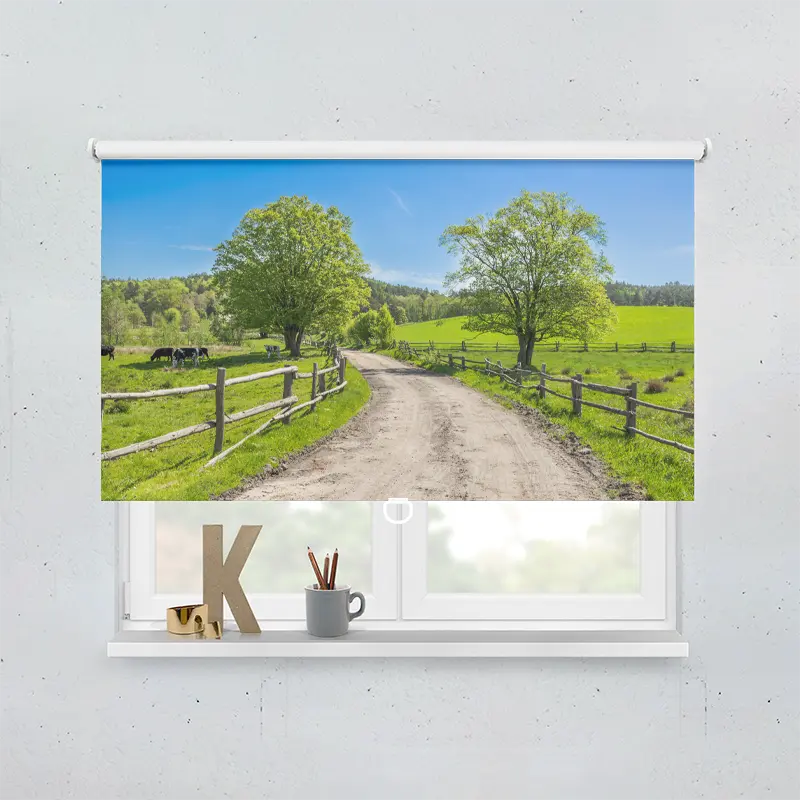 Spring Rollo Motiv Landschaft Gras Kuehe