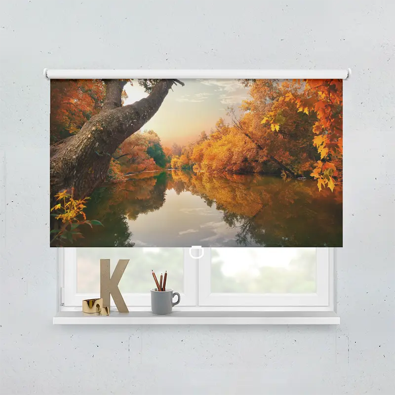 Spring Rollo Motiv Waldsee Im Herbst