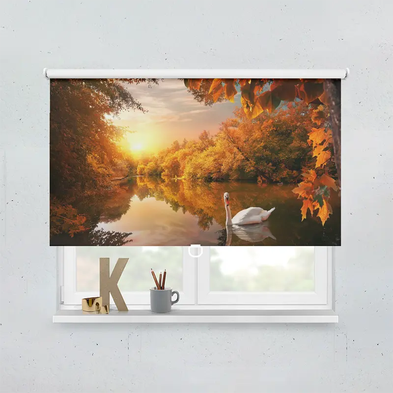 Spring Rollo Motiv Schwan Auf Herbstteich