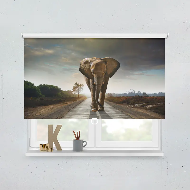 Spring Rollo Motiv Afrika Elefant Weg