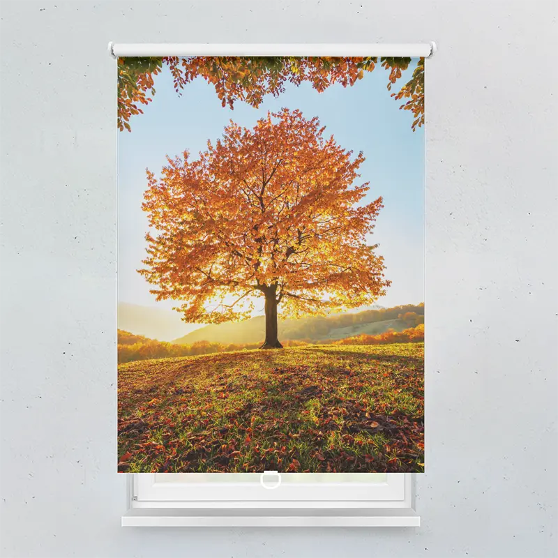 Spring Rollo Motiv Herbstbaum