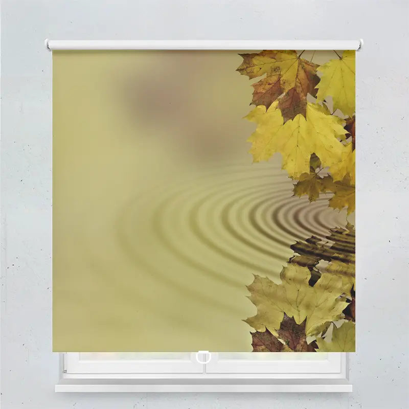 Spring Rollo Motiv Herbstblätter Im Wasser