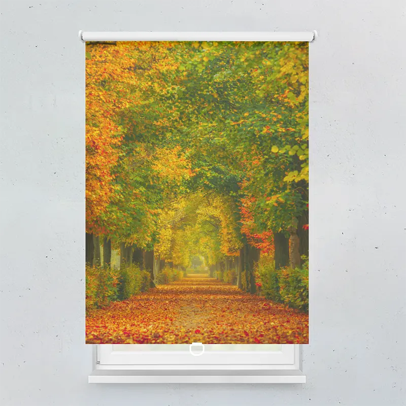 Spring Rollo Motiv Herbstweg