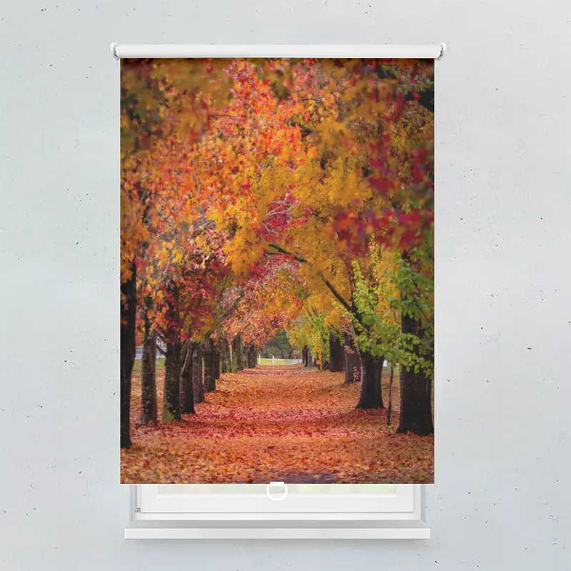 Spring Rollo Motiv Herbstweg