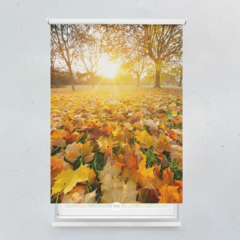 Spring Rollo Motiv Herbstblätter