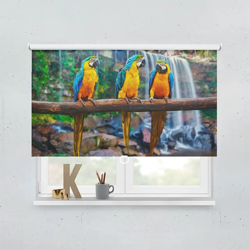 Spring Rollo Motiv Papageien Urwald Wasserfall