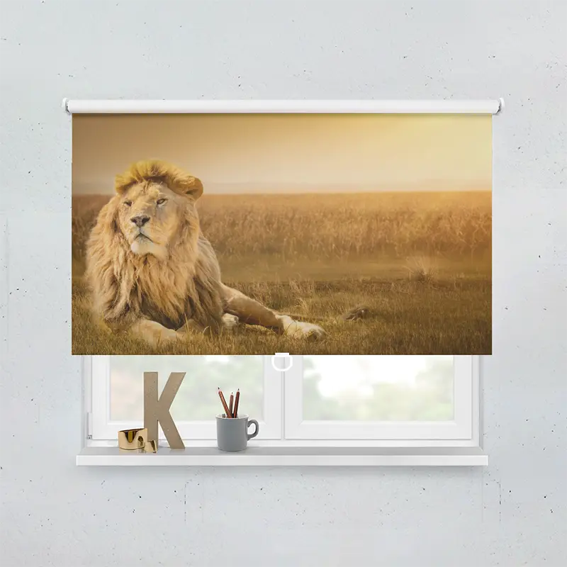 Spring Rollo Motiv Loewe Afrika Savanne