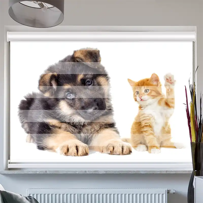 Doppelrollo Kassette Welpe und Kitten