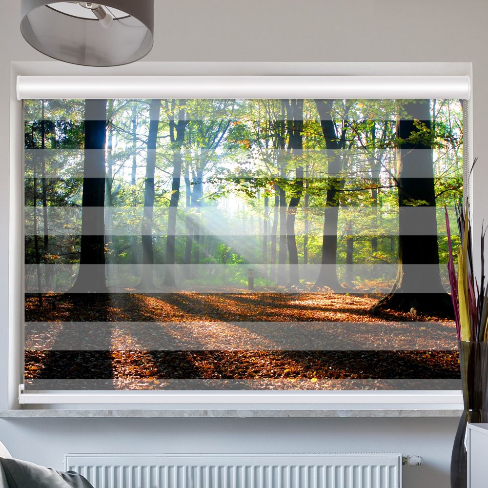 Doppelrollo mit Kassette Wald Laub Sonne