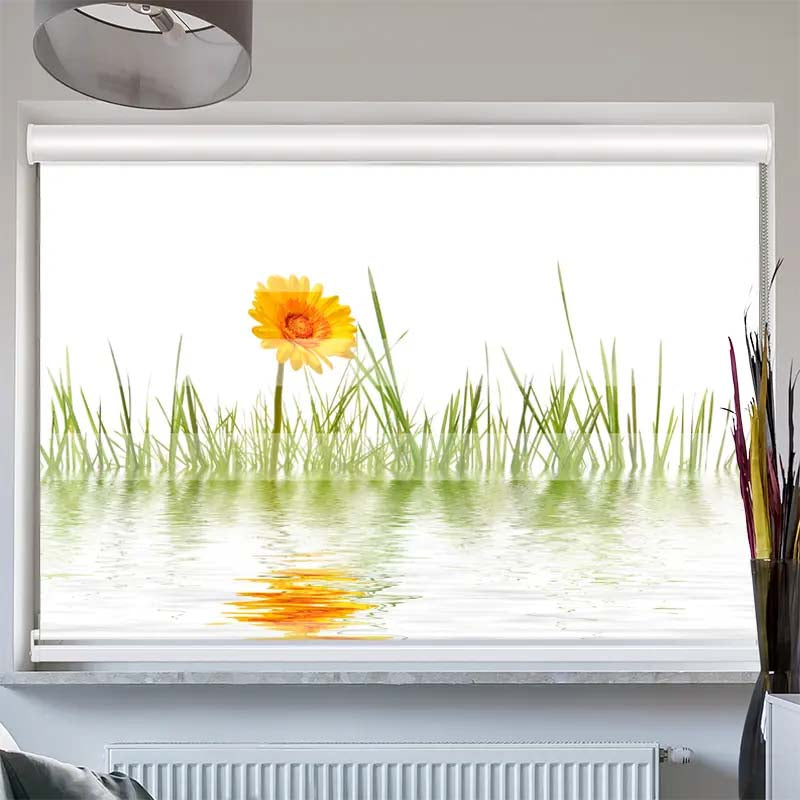 Doppelrollo mit Kassette Gras im Wasser