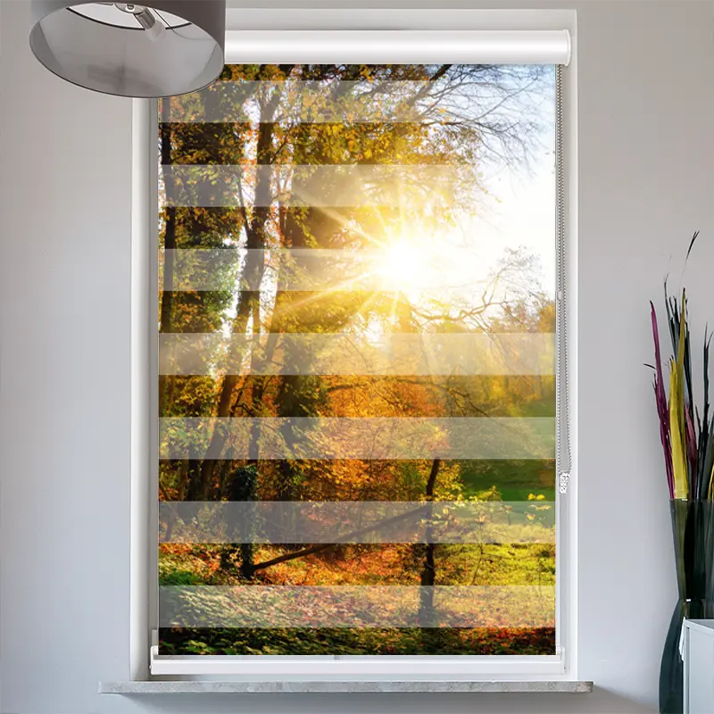 Doppelrollo mit Kassette "Herbstlandschlaft"