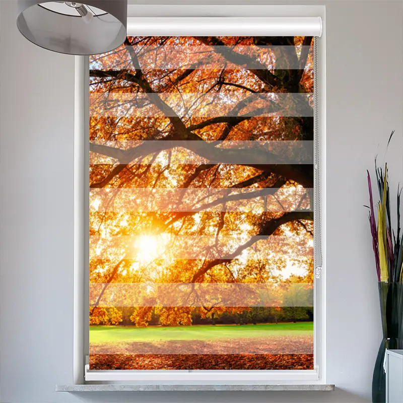 Doppelrollo mit Kassette "Baum Herbst Sonnenstrahlen"