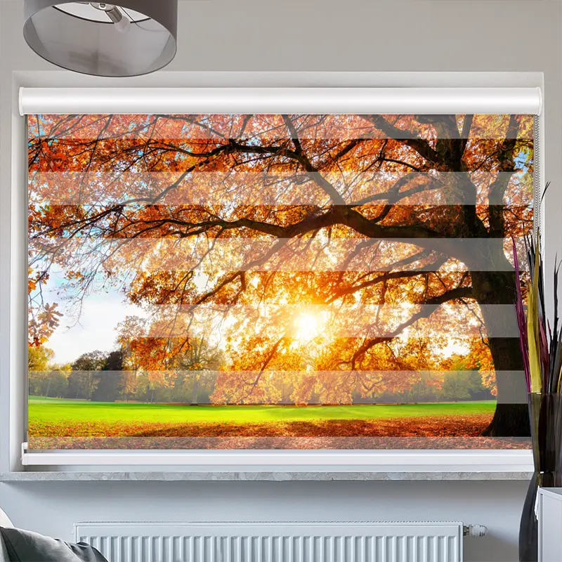 Doppelrollo mit Kassette "Baum Herbst Sonnenstrahlen"