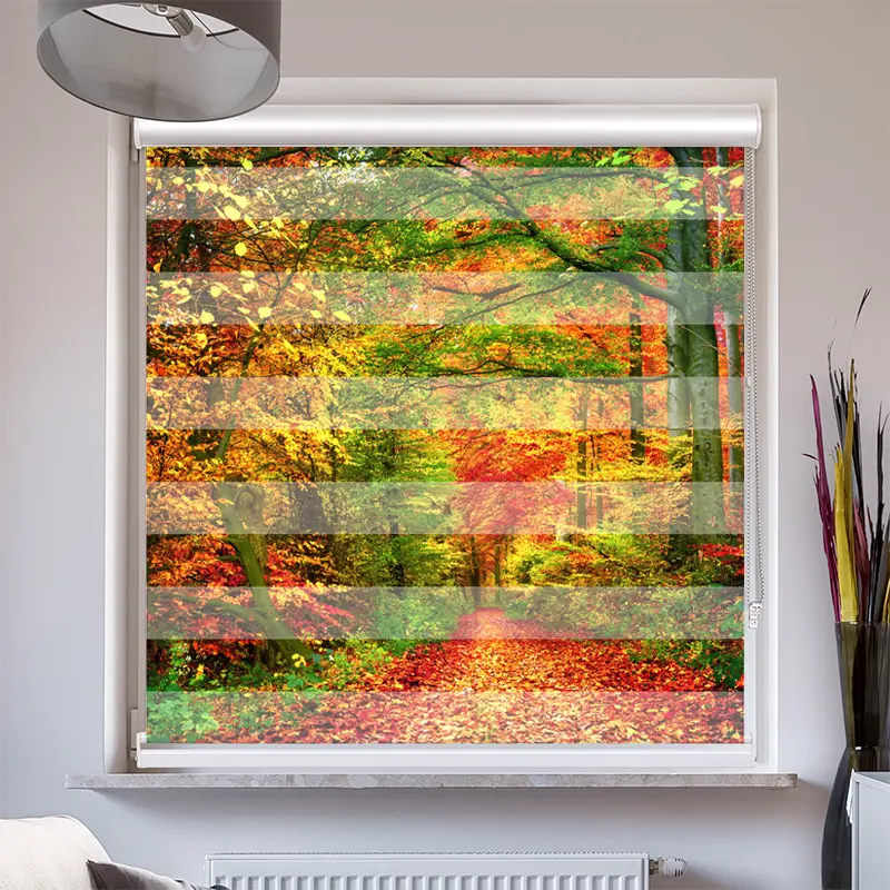 Doppelrollo mit Kassette "Weg Im Herbstwald"